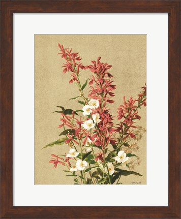Framed Meadow Flowers 2 Print