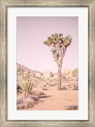 Framed Joshua Tree III Blush Print