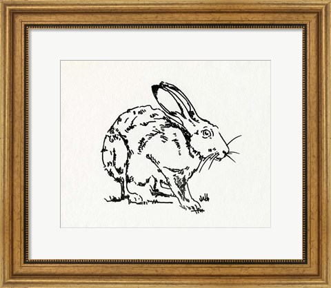 Framed Resting Hare II Print