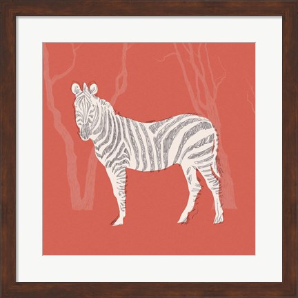 Framed Plains Zebra II Print