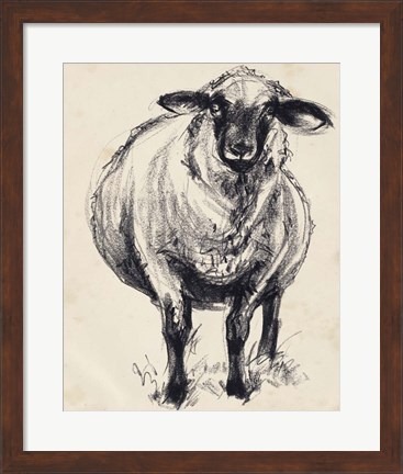 Framed Charcoal Sheep II Print