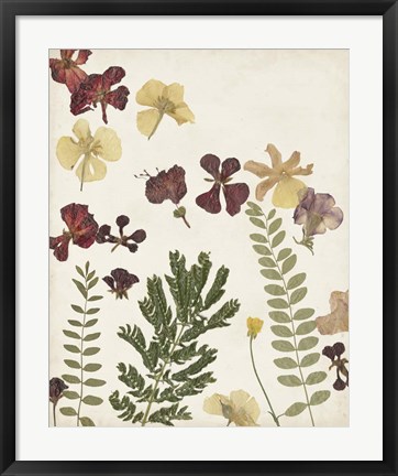 Framed Pressed Flower Arrangement I Print