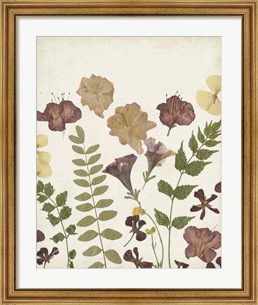 Framed Pressed Flower Arrangement II Print