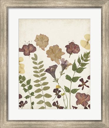 Framed Pressed Flower Arrangement II Print