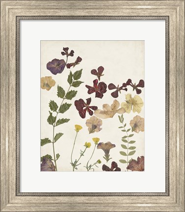 Framed Pressed Flower Arrangement V Print