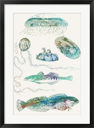 Framed Aquatic Assemblage IX Print