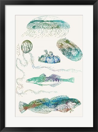 Framed Aquatic Assemblage IX Print