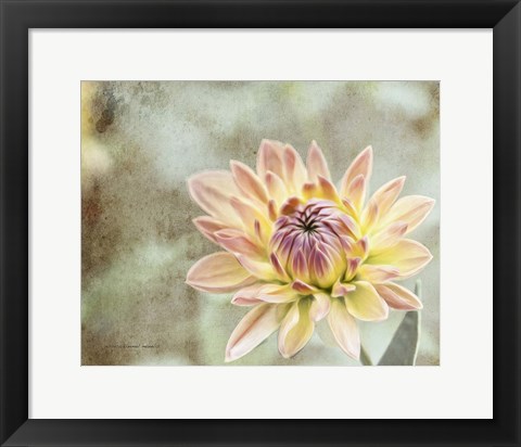 Framed Impression Flower Print