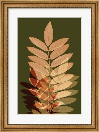 Framed Fall Leaves 2 Print