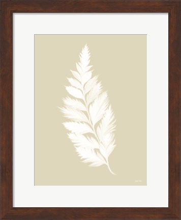 Framed Botanical White Fern Print