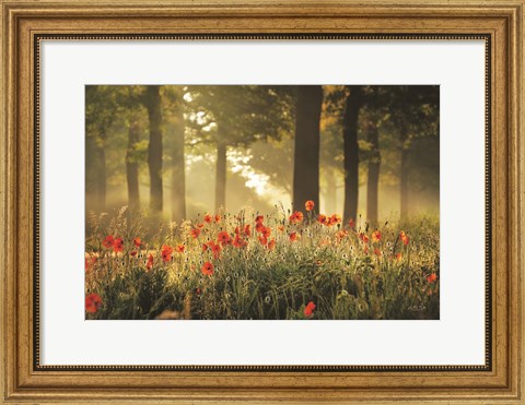 Framed Poppy Forest Print