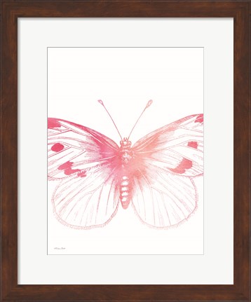 Framed Pink Butterfly III Print