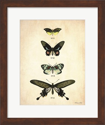 Framed Butterflies 3 Print