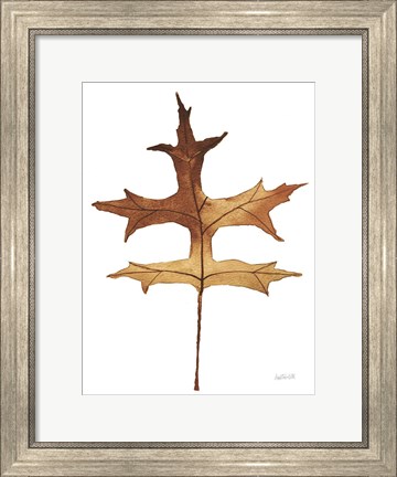 Framed Colors of the Fall I Brown Print