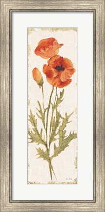 Framed Poppy Panel Light Print