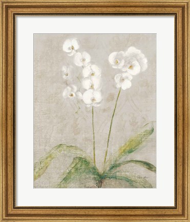 Framed Orchid Light Print