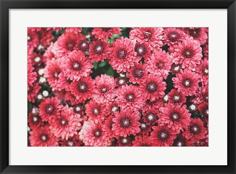 Framed Autumn Flowers I Print