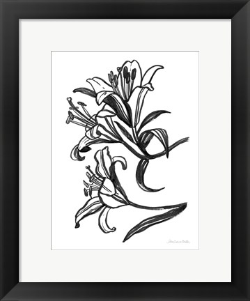 Framed Ink Lilies II Print