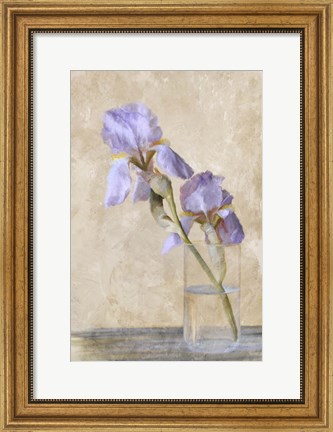 Framed Blue Iris Stem Print