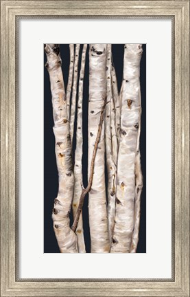 Framed Birch Tree I Print