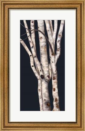 Framed Birch Tree II Print