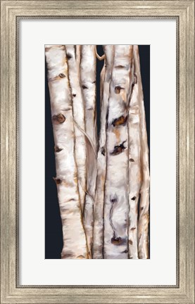 Framed Birch Tree III Print