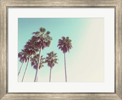 Framed Palms Against The Evening Sky Print