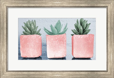 Framed Pink Potted Succulents Print