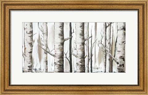 Framed White Birch Forest Print