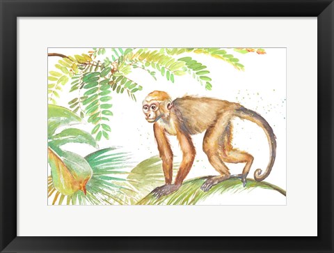 Framed Monkey Roaming In The Jungle Print