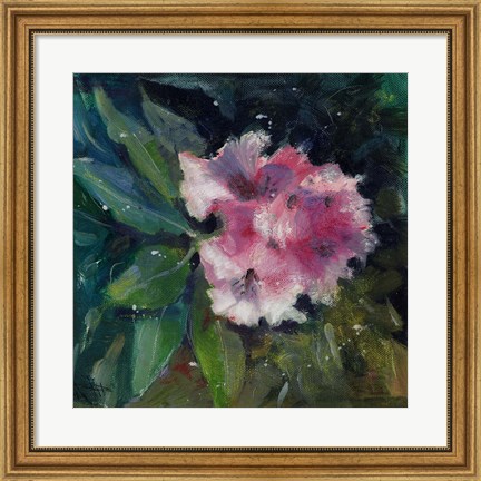 Framed Rhododendron Portrait II Print