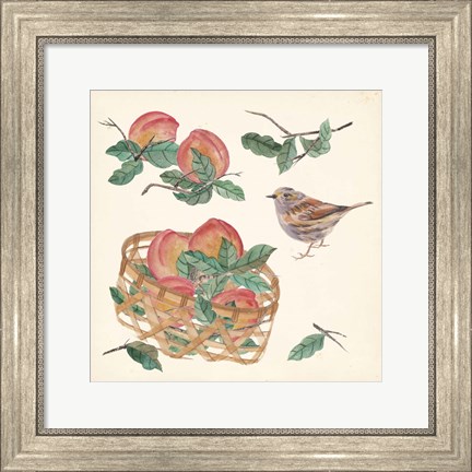 Framed Basket with Fruit II Print