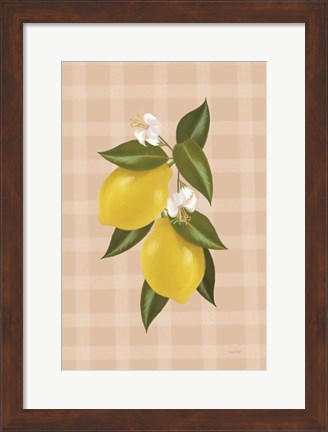 Framed Lemon Botanical II Print