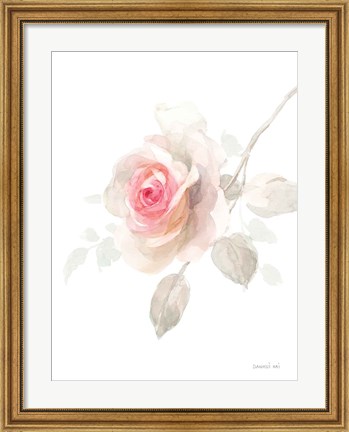 Framed Gentle Rose II Print