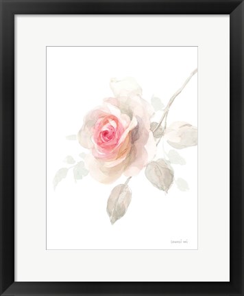 Framed Gentle Rose II Print