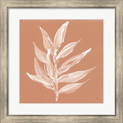 Framed Leaf Study IV Pheasant Print