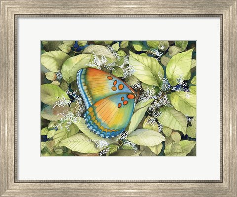 Framed Royal Butterfly Print
