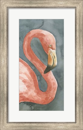 Framed Flamingo Study I Print