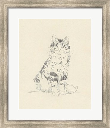Framed House Cat III Print
