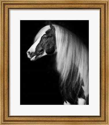 Framed Equine Portrait VII Print