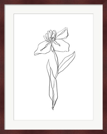 Framed Simple Daffodil II Print