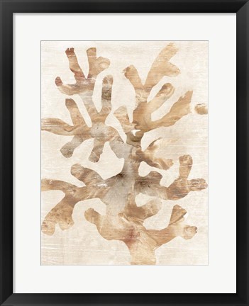 Framed Parchment Coral I Print