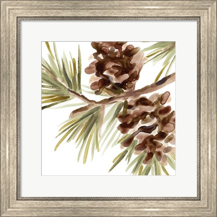 Framed Simple Pine Cone IV Print