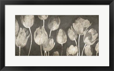 Framed Washed Tulips Print