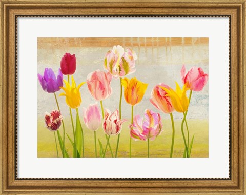 Framed Tulipani d&#39;estate Print