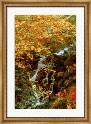 Framed Hidden Waterfall Print