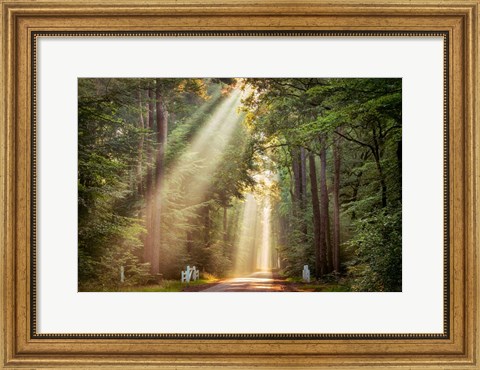 Framed This Beam is Booming Print