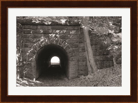 Framed Juniata Tunnel Print