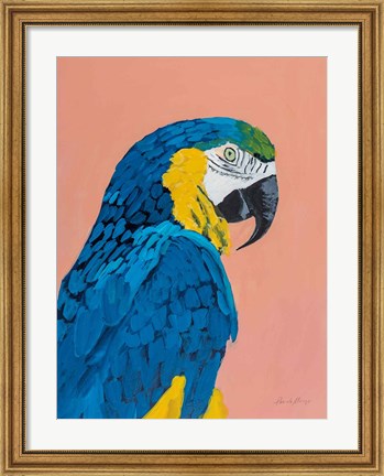 Framed Blue and Gold Macaw Print