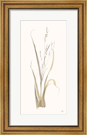 Framed Moor Grass Print